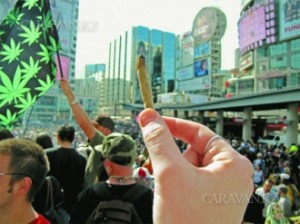 marijuana in Canada
