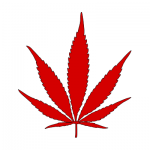 Canadian Medical Marijuana